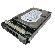  | Ổ cứng máy chủ 500GB Dell T320 T420 T430 R320 R420 R720 R730 (Bạc)
